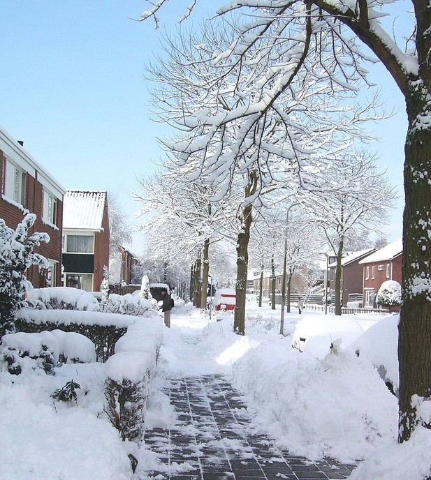 De winter kan nog toeslaan, dat gebeurde in maart 2006 ook - Foto: Eigen geleverde foto