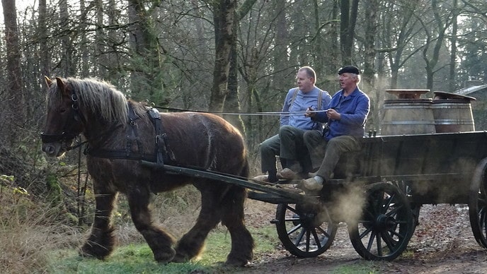Opoe steeds vaker in the war - Foto: Ingezonden foto
