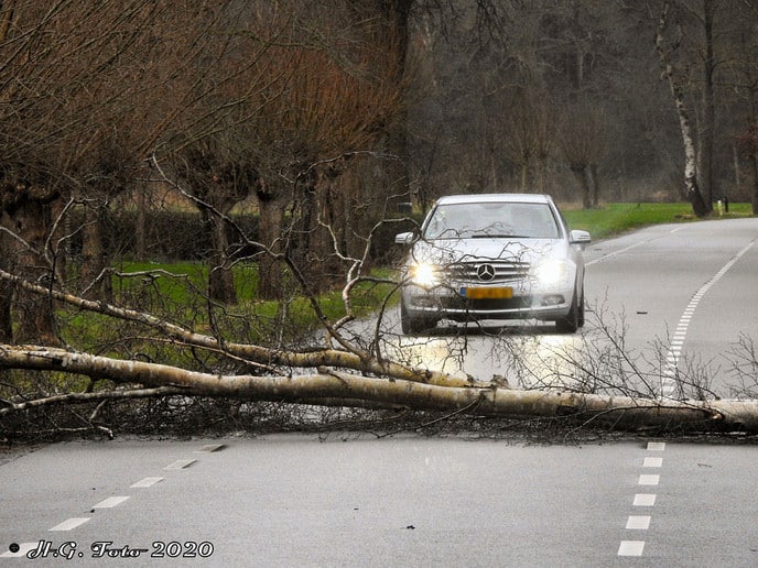 Stormschade Heinoseweg