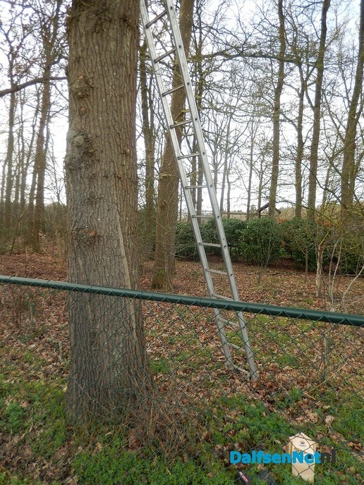 Nestkastjes ophangen