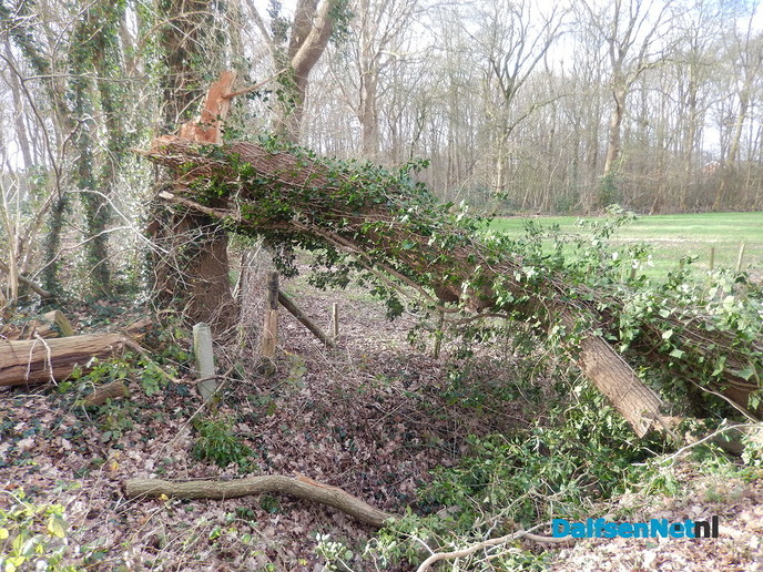 De storm was vandaag niet zo spannend meer