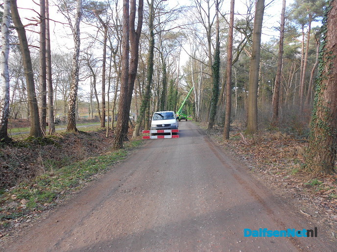 Hout sprokkelen?