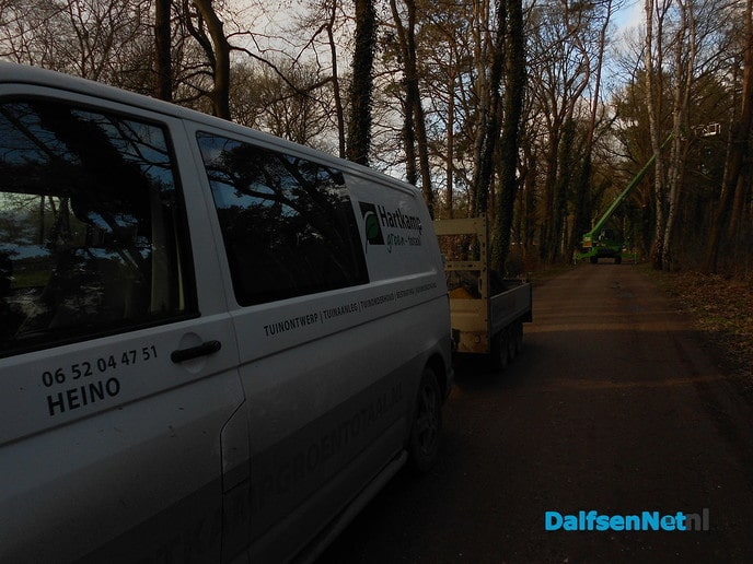Hout sprokkelen?