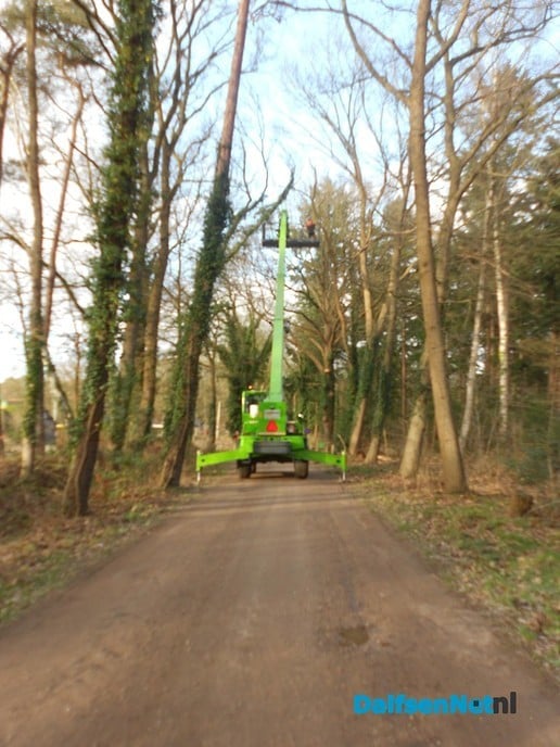 Hout sprokkelen?