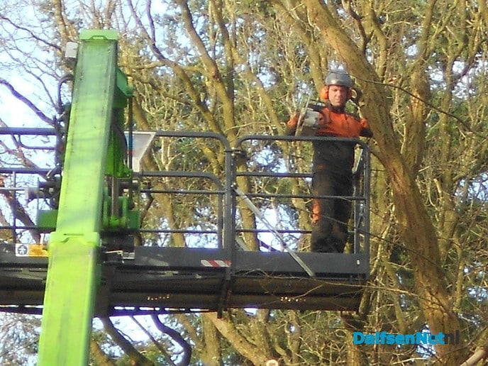 Hout sprokkelen?