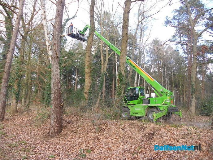 Hout sprokkelen?