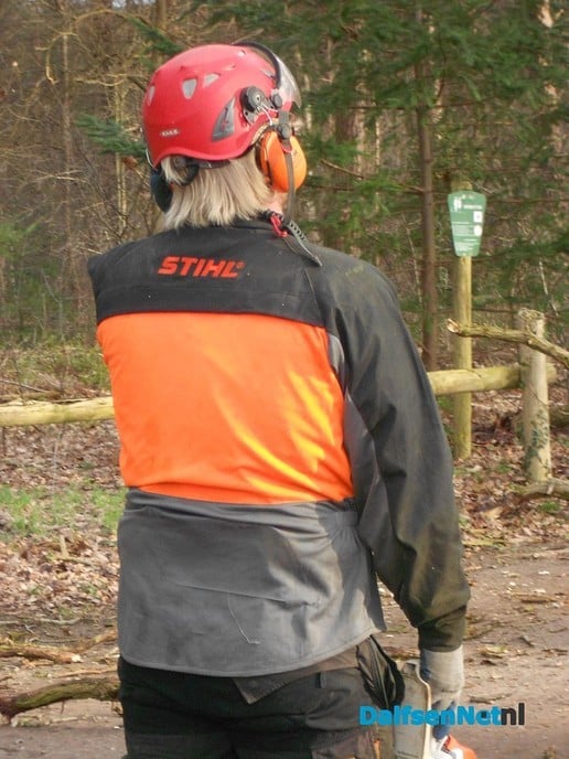 Hout sprokkelen?