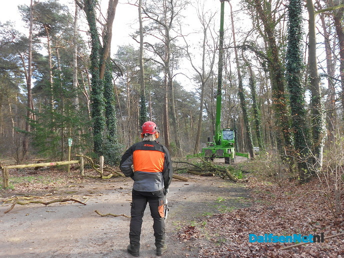 Hout sprokkelen?