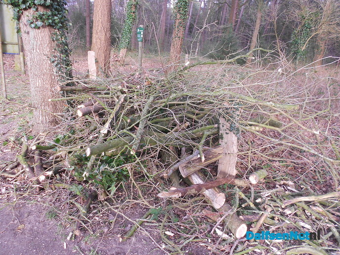 Hout sprokkelen?
