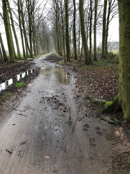 Dit is het fietspad van Hoonhorst naar Dalfsen - Foto: Ingezonden foto