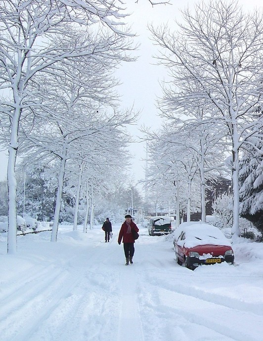 De winter kan nog toeslaan, dat gebeurde in maart 2006 ook - Foto: Eigen geleverde foto