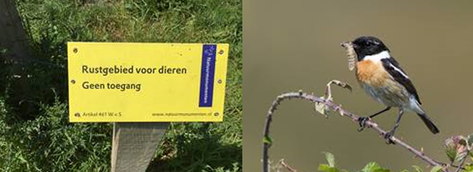De boswachter vraagt even uw aandacht - Foto: Eigen geleverde foto