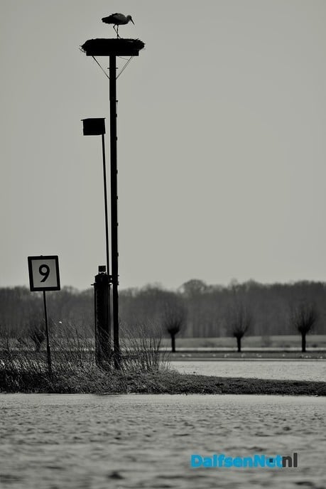 Foto’s hoog water: map 3 - Foto: Ben Jonkman