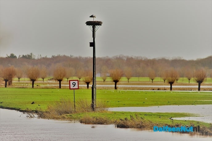 Foto’s hoog water: map 3 - Foto: Ben Jonkman