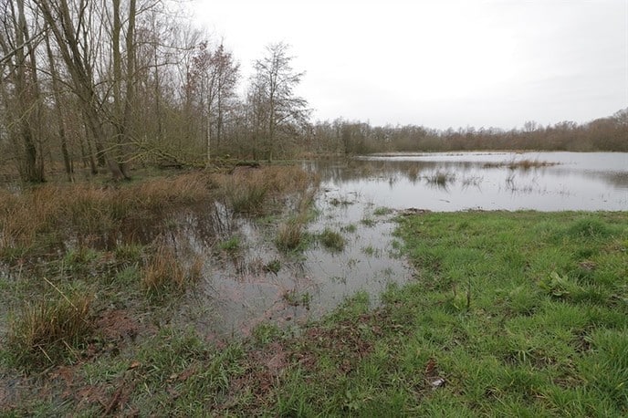 Gemalen draaien op volle toeren