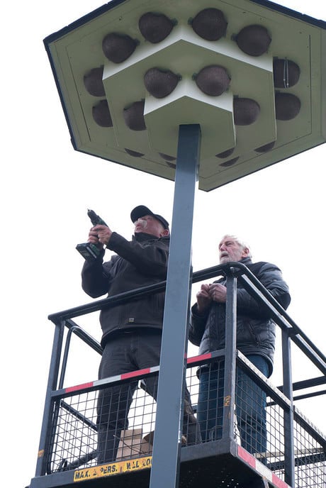 Vrienden van Dalfsen bieden huiszwaluwtil aan - Foto: Geert Bistervels