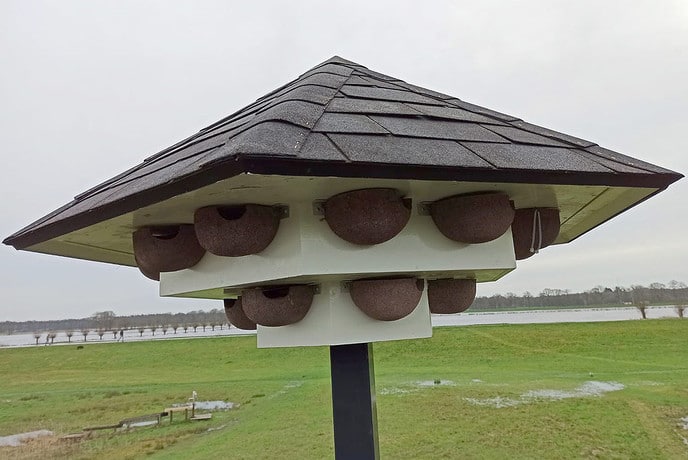 Vrienden van Dalfsen bieden huiszwaluwtil aan - Foto: Geert Bistervels