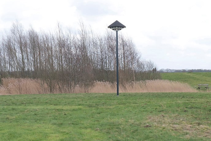 Vrienden van Dalfsen bieden huiszwaluwtil aan - Foto: Geert Bistervels