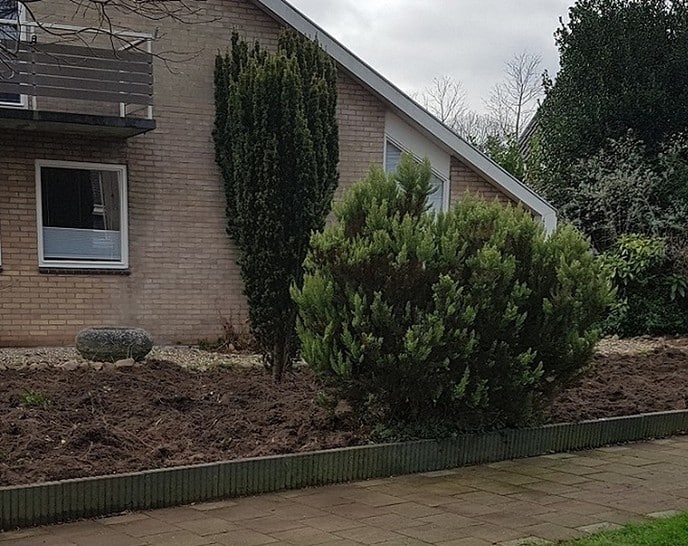 Hele hoge Heide - Foto: Gruune Jopie