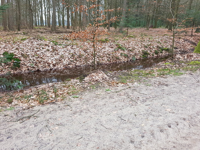 Dreugte? - Foto: Gruune Jopie