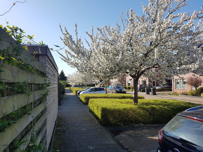 De stroate is nie breed genog - Foto: Gruune Jopie