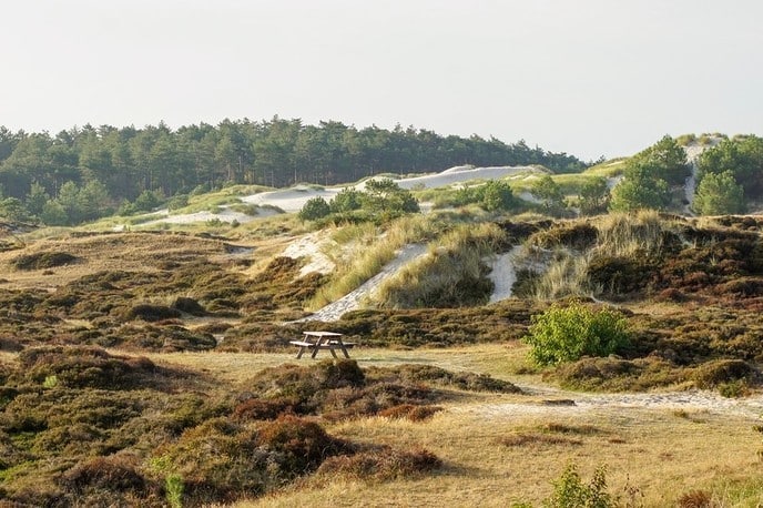 Ontdek de natuur van Overijssel met je autohuur