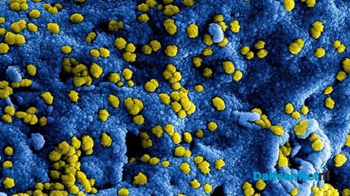 Rosengaerde neemt nieuwe maatregelen Coronavirus - Foto: Ingezonden foto