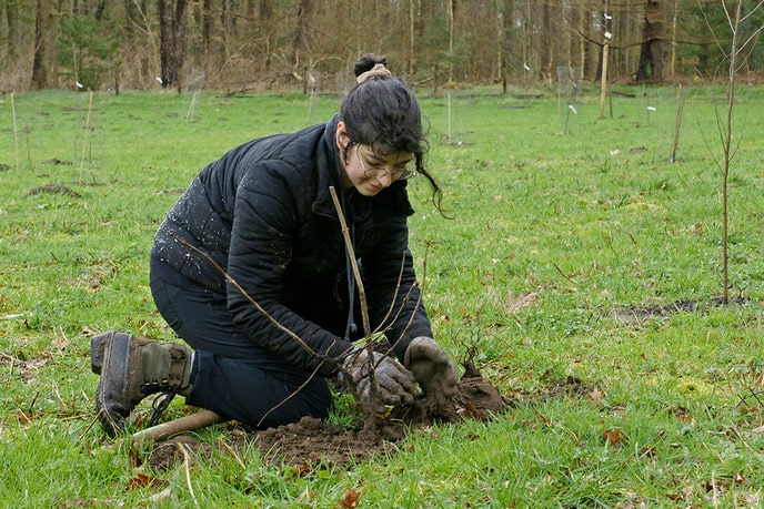 Aanplanten voedselbos ging wel door: NL deed - Foto: Paul Scholten