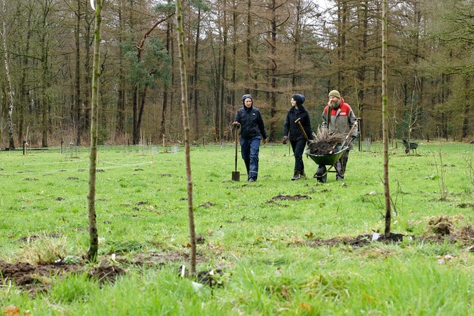 Aanplanten voedselbos ging wel door: NL deed - Foto: Paul Scholten