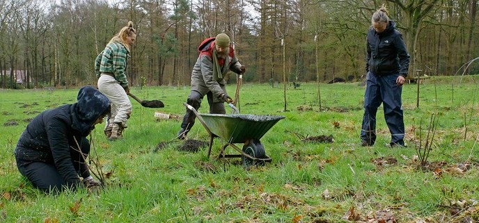 Aanplanten voedselbos ging wel door: NL deed - Foto: Paul Scholten