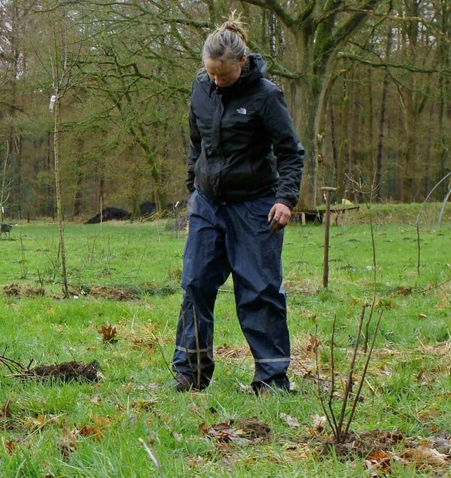 Aanplanten voedselbos ging wel door: NL deed - Foto: Paul Scholten