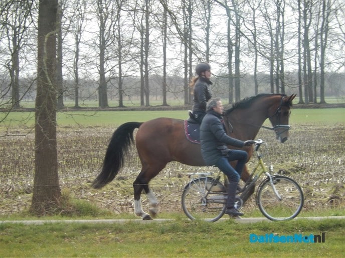Heerlijk met paard en Pa op pad