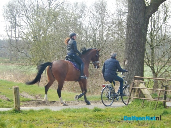 Heerlijk met paard en Pa op pad