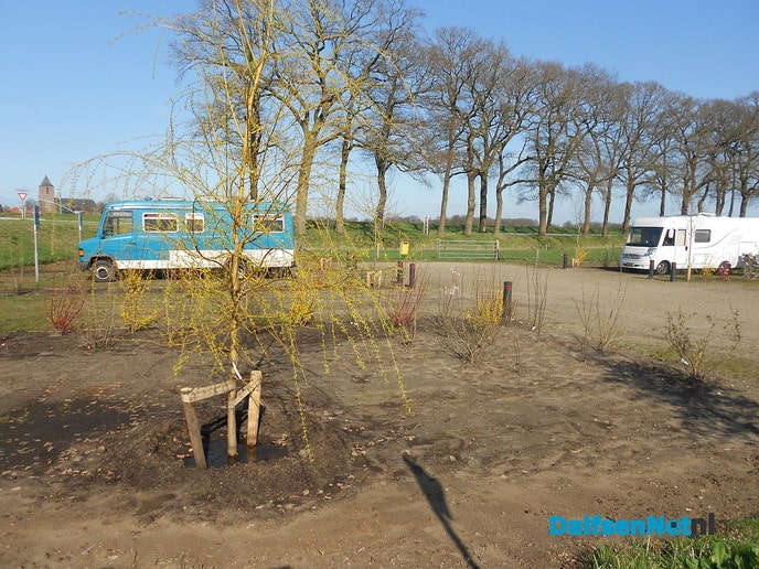 Camperplek volop in de bloei