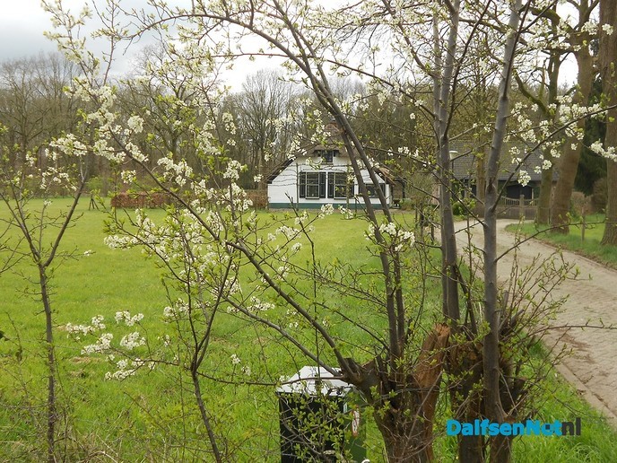 De lente komt er aan