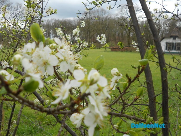 De lente komt er aan
