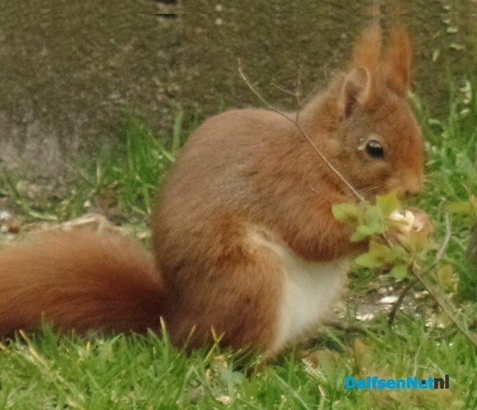 Jammie …. jammie …. - Foto: Ingezonden foto
