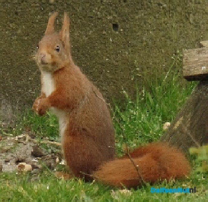 Jammie …. jammie …. - Foto: Ingezonden foto
