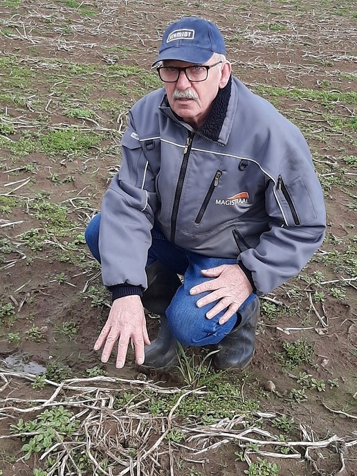 Eerste kievitsei van Overijssel in Dalmsholte gevonden - Foto: Ingezonden foto