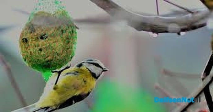 Denk aan de vogeltjes