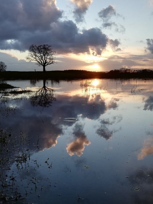 Oude Oever vandaag - Foto: Ingezonden foto
