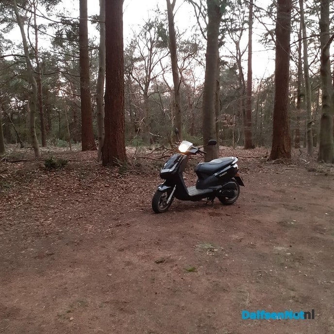 Mooie foto zegt de inzender zelf - Foto: Ingezonden foto
