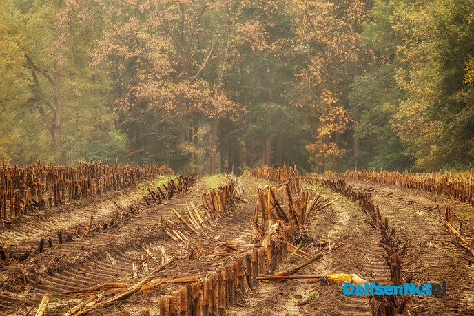 Millingen in de herfst - Foto: Ingezonden foto