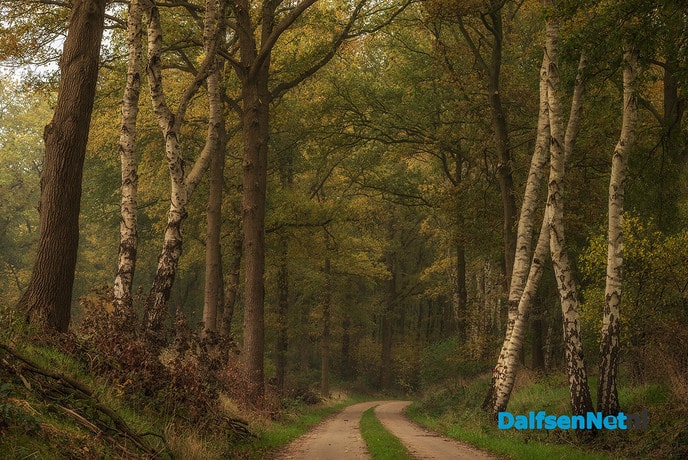 Millingen in de herfst - Foto: Ingezonden foto