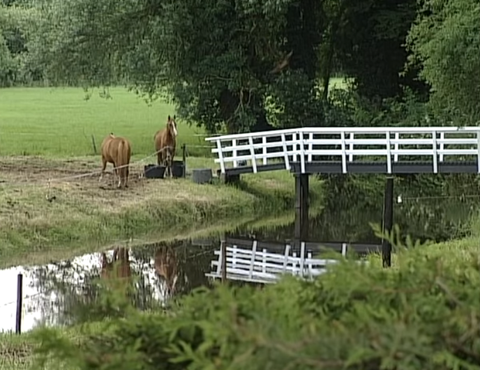 Luuks Nijsingh Reestenland - Foto: Ingezonden foto
