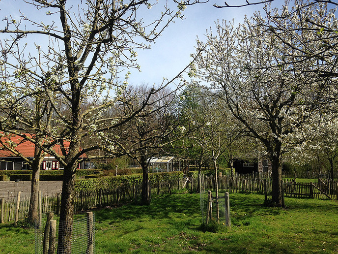 Wat een paasverrassing - Foto: Eigen geleverde foto