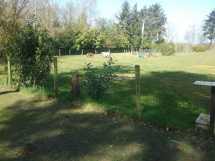 4 voeters als grasmachines - Foto: Eigen geleverde foto