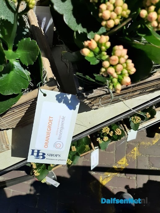 Bewoners en medewerkers verrast door Stichting Vrienden van Rosengaerde - Foto: Ingezonden foto