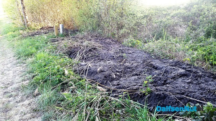 Drab in de Leusenermaan - Foto: Ingezonden foto