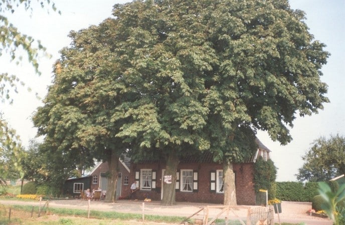 Oproep werkt: huis en winkel Lingeman - Foto: Ingezonden foto